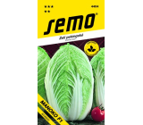Semo Kapusta pekinská Manoko F1 hybrid 40 semien