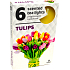 Čajové sviečky Tulipánové vonné čajové sviečky 6 kusov