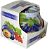 Admit Red Currant & Plum - Červené ríbezle a slivka dekoratívne aromatická sviečka v skle 80 g