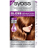 Syoss Gloss Sensation Šetrná farba na vlasy bez amoniaku 7-76 marhuľový medený 115 ml