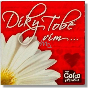 Nekupto Čokopřáníčko Vďaka Tebe viem ... z lásky čokoláda 65 g