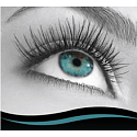 Miss Sporty Lash Millionaire Chic riasenka pre objem intenzívne čierna 8 ml