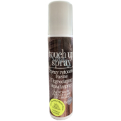 Systeme Root Concealer Spray na zakrytie šedín svetlohnedý 75 ml