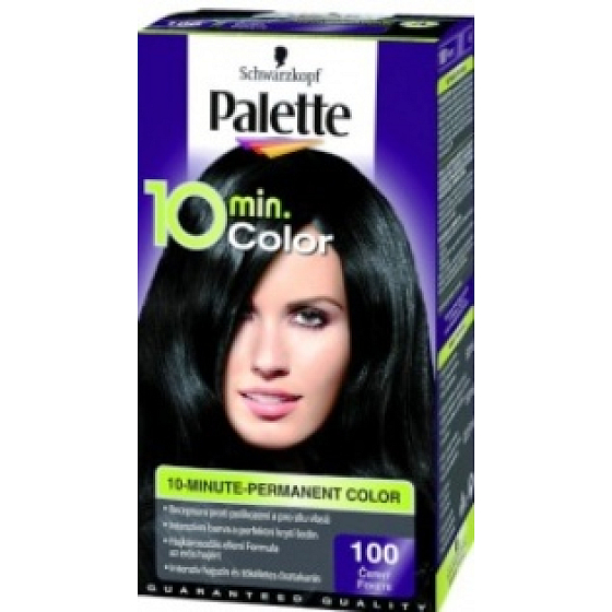 Palette 10 minút Color farba na vlasy 100 Čierna
