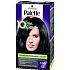 Palette 10 minút Color farba na vlasy 100 Čierna