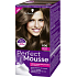 Schwarzkopf Perfect Mousse Inovatívna Foam Color farba na vlasy 600 Svetlohnedý