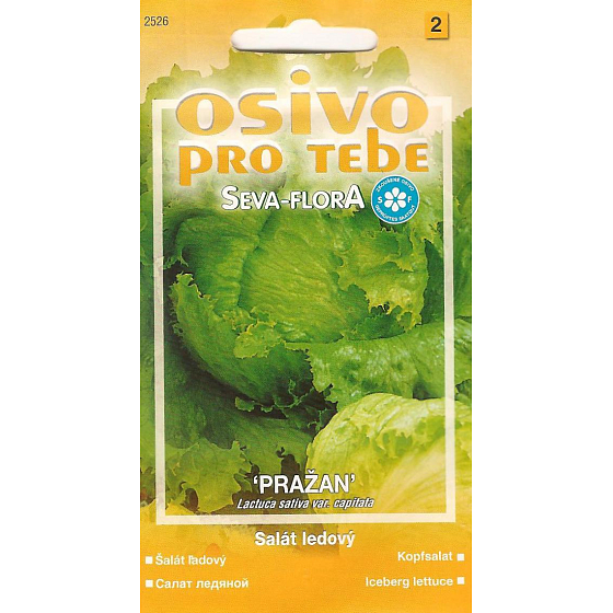 Seva - Flora Šalát ľadový Pražan 0,5 g