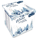 Big Soft Winter papierové vreckovky biele 2 vrstvové 75 kusov