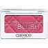 Catrice Defining Blush tvárenka 110 Legend-berry 5 g