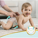 Pampers Premium Care veľkosť 6, 15+ kg plienkové nohavičky 31 kusov