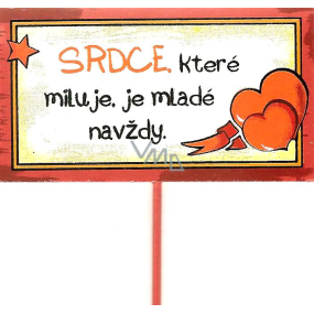 Nekupto Ceduľka do kvetináča Srdce 30 cm,