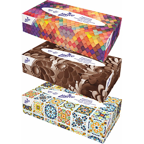 Linteo 2vrstvové papierové vreckovky, box 100 ks Linteo 2vrstvové papierové vreckovky, box 100 ks