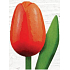 Bohemia Gifts Drevený tulipán oranžovo-červený 20 cm
