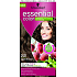 Schwarzkopf Essential Color dlhotrvajúca farba na vlasy 240 Svetlo hnedá