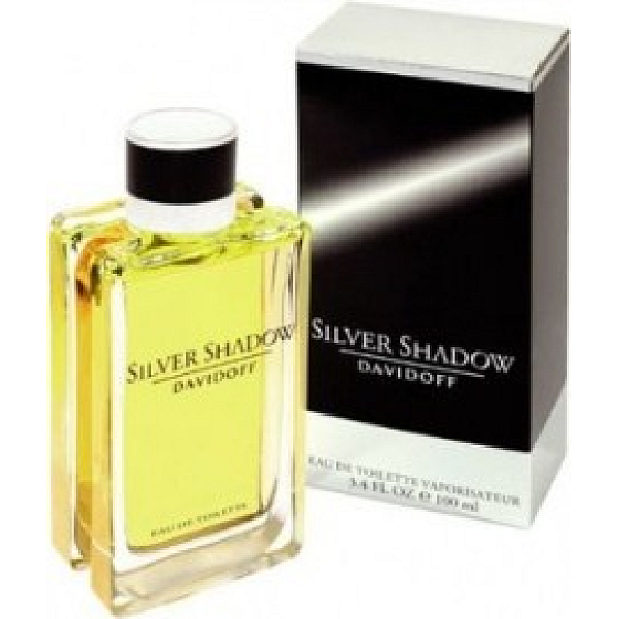 Davidoff Silver Shadow toaletná voda pre mužov 100 ml
