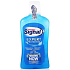 Signal White Now ústna voda 500 ml