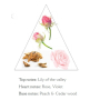 Panier des Sens Levanduľa krém na ruky 30 ml + Provence krém na ruky 30 ml + Ruže krém na ruky 30 ml, kozmetická sada
