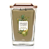Yankee Candle Pear & Tea Leaf - Hruška a čajové lístky sójová vonná sviečka Elevation veľká sklo 2 knôty 552 g