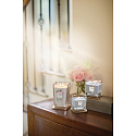 Yankee Candle Passionflower - Kvet vášne sójová vonná sviečka Elevation malá sklo 1 knôt 96 g