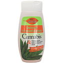 Bione Cosmetics Cannabis šampón na mastné vlasy 260 ml