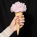 Catrice ICONails Gél Lacque lak na nechty 88 Pink Makes The Heart Grow Fonder 10,5 ml