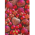 Ditipo Darčekový baliaci papier 70 x 200 cm Vianočný červený červené banky