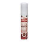 Dentiplus Aniseed Blast ústny sprej bez alkoholu 25 ml