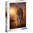 Clementoni Tiger Puzzle 1500 dielikov, odporúčaný vek 10+