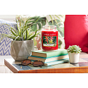Yankee Candle Tropical Jungle - Tropická džungľa vonná sviečka Classic veľká sklo 623 g