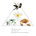 Panier des Sens Oliva krém na ruky 75 ml