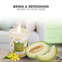 Air Wick Essential Oils White Melon & Ylang Ylang - Biele melóny a ylang ylang vonná sviečka sklo 185 g