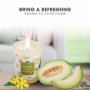 Air Wick Essential Oils White Melon & Ylang Ylang - Biele melóny a ylang ylang vonná sviečka sklo 185 g