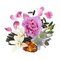 Compagnia Delle Indie 13 Peony and Amber parfumovaná voda pre ženy 75 ml