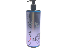 Professional Hair Care Destivii Silver Blond šampón na blond vlasy 500 ml
