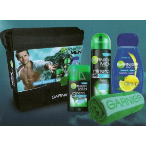 Garnier Cool taška pre mužov
