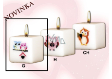 Lima Sovy 2 malej sovy sviečka s obtiskom biela kocka 45 x 45 mm 1 kus