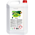 Real Green Clean na riady, 5 l