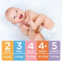Linteo Baby Premium 4+ Maxi 10 - 17 kg jednorazové plienky 46 kusov