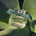 Chloé Rose Naturelle Intense parfumovaná voda pre ženy 30 ml