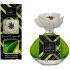Lady Venezia Luxury Fiori di Bergamotto - aróma difuzér s kvetmi bergamotu pre postupné uvoľňovanie vône 100 ml
