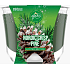 Glade by Brise Nordic Crisp Pine s vôňou borovice, borievky a imelo vonná veľká sviečka v skle, doba horenia až 52 hodín 224 g