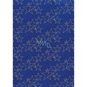 Ditipo Darčekový baliaci papier 70 x 200 cm Vianočné modrý zlaté a čierne hviezdy