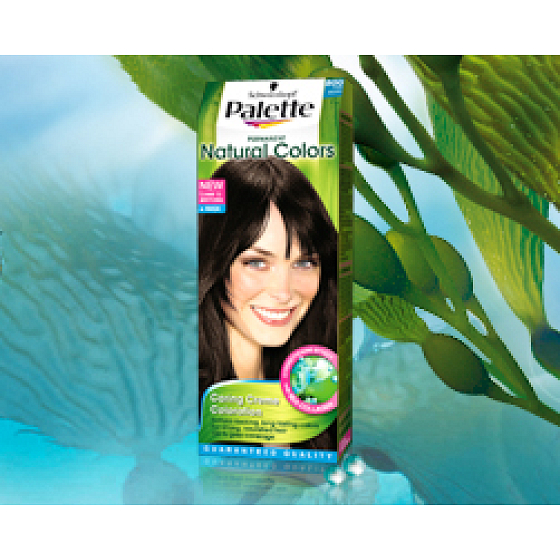 Schwarzkopf Palette Permanent Natural Colors farba na vlasy 800 tmavo hnedý