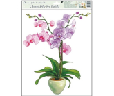 Okenné fólie bez lepidla orchidey svetlo ružová 42 x 30 cm