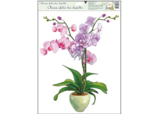 Okenné fólie bez lepidla orchidey svetlo ružová 42 x 30 cm