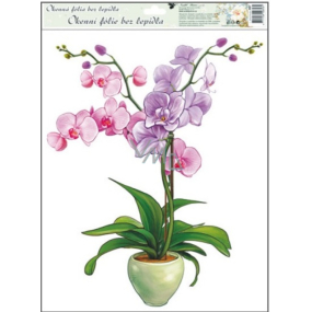 Okenné fólie bez lepidla orchidey svetlo ružová 42 x 30 cm