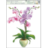 Okenné fólie bez lepidla orchidey svetlo ružová 42 x 30 cm