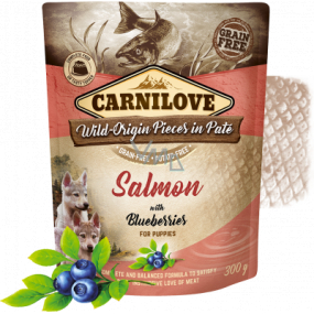 Carnilove Dog Pouch Paté Losos s čučoriedkami bezobilné kapsičky pre šteňatá 300 g