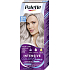 Schwarzkopf Palette Intensive Color Creme farba na vlasy Chladný Strieborný Plavý 10-19