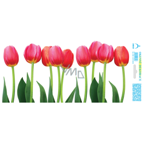Arch Celoročná nálepka, okenná fólia bez lepidla Ružový tulipánový pás 35 x 16 cm